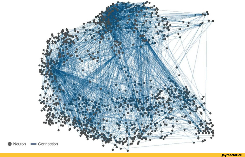 ﻿# Neuron Connection,разное,ИИ,Охуеть,песочница