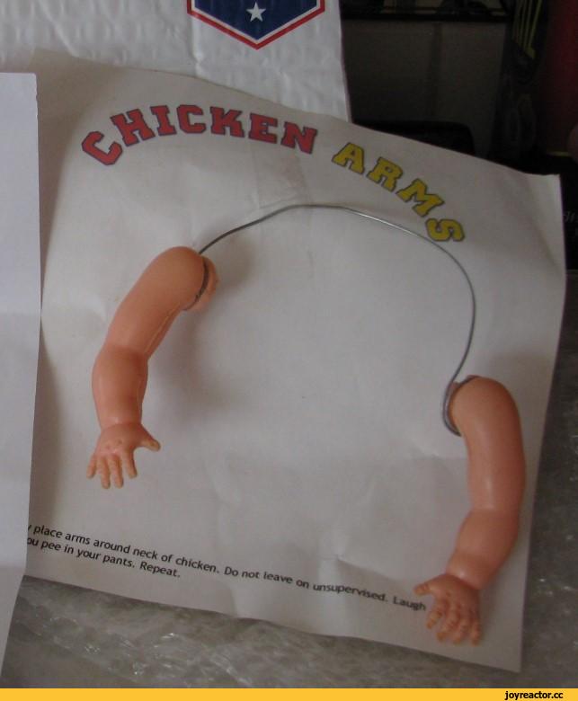 ﻿ place arms around neck of chicken. Do no« *r*avc on u*' pee in your pants. Repeat.,курочка,песочница